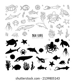 Big vector set of sea animals and plants with sea shells and starfishes. Black outlines and black silhouette isolated on white background. Marine life collection.