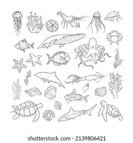 Big vector set of sea animals and plants with sea shells and starfishes. Black outlines isolated on white background. Marine life collection.