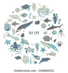 Big Vector Set Of Sea Animals And Plants With Sea Shells And Starfishes. Marine Life Collection.