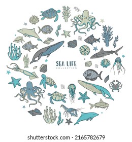 Big vector set of sea life with sea animal, plants and decoration, marine life, differen shapes and colors, fish and starfish, isolated on white background.