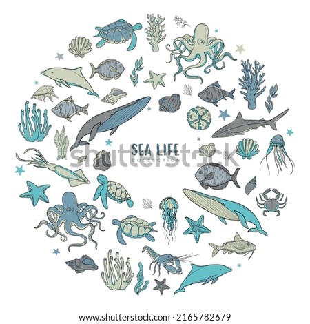 Big vector set of sea life with sea animal, plants and decoration, marine life, differen shapes and colors, fish and starfish, isolated on white background.