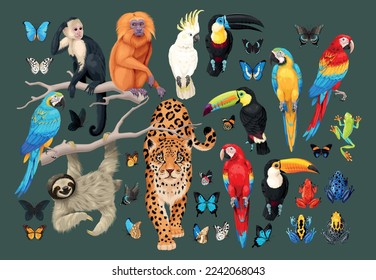 Big vector set of tropical animals and birds