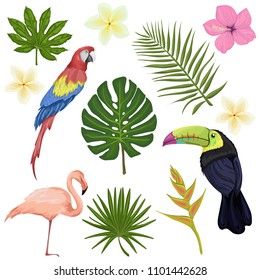 big vector set with tropical birds, flowers and plants on a white background isolated