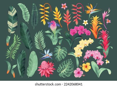 Big vector set of tropical flowers and leaves