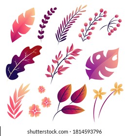 Big Vector set of tropical leaves, fall isolated illustration.