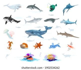 Big vector set with underwater inhabitants, fishes dolphin, anglerfish, swordfish, whale, shark, jellyfish, sawfish, seahorse, mollusk starfish beluga atlantic torpedo hammerhead