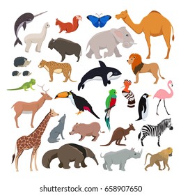 Big vector set with wild cute animals isolate on white background