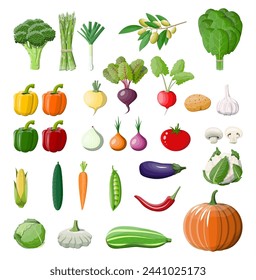 Big vegetable isolated icon set. Onion, eggplant, cabbage, pepper, pumpkin, cucumber, tomato carrot and other vegetables. Organic healthy food. Vegetarian nutrition. Vector illustration in flat style