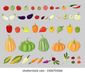 Big vegetable set. Many types of vegetables icons isolated on grey background. Hand drawn vegetable decoration elements, clip art. Colorful pumpkins, pepper, tomato, onion, squash, carrot, garlic,corn