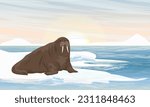 Big Walrus is resting by the sea. Wildlife of the Arctic. Realistic vector landscape