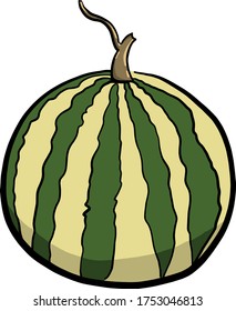 Big watermelon , illustration, vector on white background