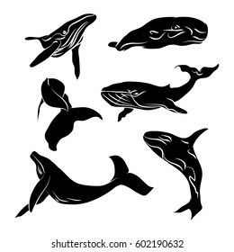 Big whale  black silhouette with no outline on a white background (vector illustration)