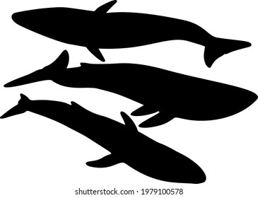 Big whale fish in the set. Vector image. 