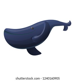 Big whale icon. Cartoon of big whale vector icon for web design isolated on white background