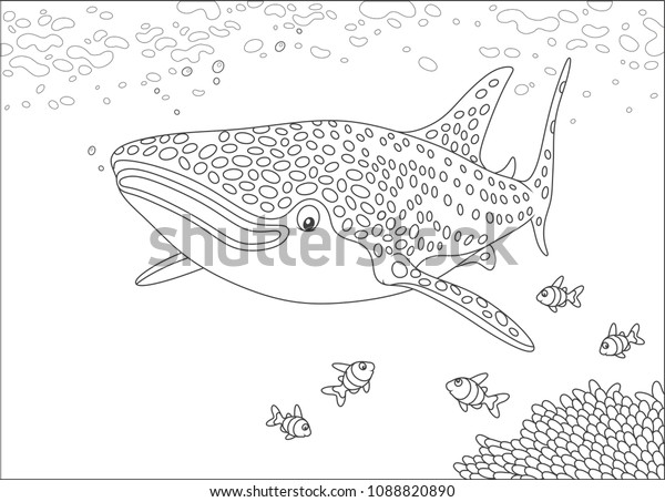 Big Whale Shark Small Coral Fishes Stock Vector Royalty Free