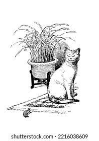 A big white cat, looking at a mouse