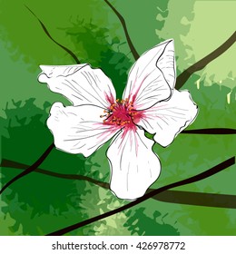 Big white flower on green (tree leaves) background