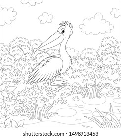 Big white pelican by a small lake on a meadow on a summer day, black and white vector illustration in a cartoon style for a coloring book