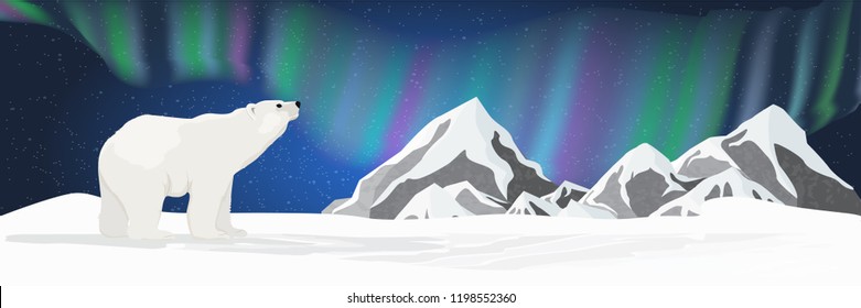 A big white polar bear looks up at the sky. Northern lights over the snow-covered plain. Night starry sky. Northern landscape