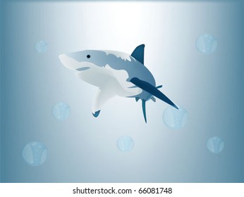 Big White Shark