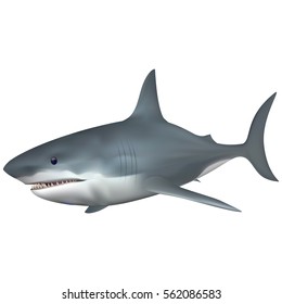 Big White Shark saltwater fish. Full compatible. Created with gradient mesh.