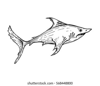 Big White Shark saltwater fish. Tattoo totem animal. The linear chart, textile printing, T-shirt. The basis for the logo. Vector illustration, isolated.