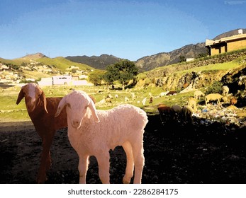 A big white ship and a lamb is a captivating water color nature design great for decoration ,textile and fabric design ,book cover ,card ,poster and different print and web purposes