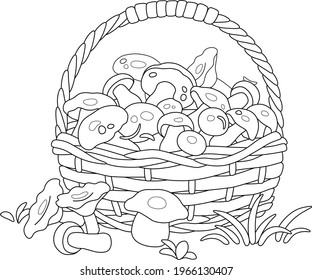 Big wicker basket full of picked wild forest edible mushrooms, black and white outline vector cartoon for a coloring book page