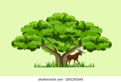 Gran árbol verde viejo y ancho, hierba crece y alce bajo tres ilustraciones vectoriales