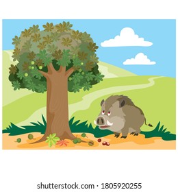 a big wild boar is standing under an oak tree and is going to look for acorns, cartoon illustration, vector, eps