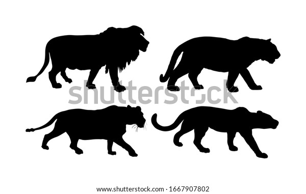 大きな野良猫コレクション 獅子と雌獅子のシルエット 白い背景にトラのベクターシルエットイラスト パンサー狩り ヒョウの記号 野生生物の捕食者 クーガー マウンテンライオン のベクター画像素材 ロイヤリティフリー