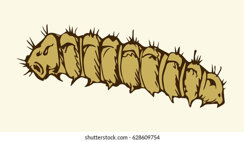 Big wild garden hairy butterfly grub isolated on white backdrop. Freehand outline black ink hand drawn picture sketchy in art scribble retro style pen on paper. Close-up micro view with space for text