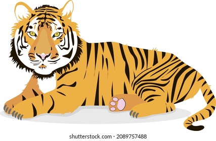 big wild tiger symbol of the coming year