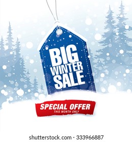 Big winter sale poster