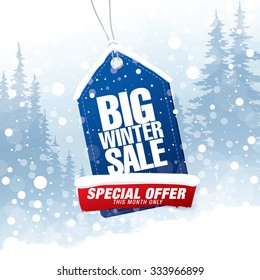 Big winter sale poster