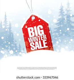 Big winter sale poster