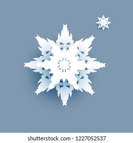 Große Winterschneeflocke