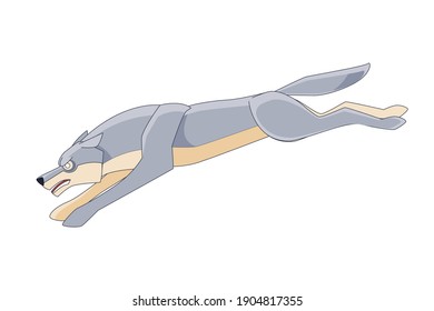 Big Wolf runs after its prey. Cartoon character of a dangerous mammal animal. A wild forest creature with grey fur. Side view. Vector flat illustration isolated on a white background.