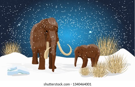 Big woolly mammoth and cub on plain in the snow. Night with the stars. Prehistoric animals. Ice Age. Extinct animals of Siberia, Eurasia and North America. Realistic Vector Landscape