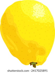 Big yellow lemon. Isolated on white background. Vector illustration. For print.