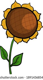 Große gelbe Sonnenblume, Vektorgrafik auf weißem Hintergrund.