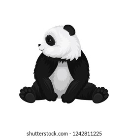 Big young panda sitting and looking around. Black and white bamboo bear. Cute exotic animal. Flat vector design