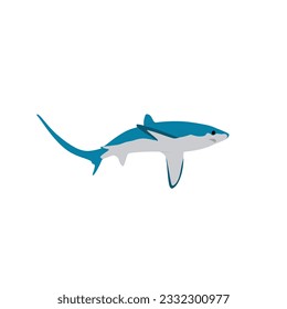 The bigeye thresher, Alopias superciliosus. Shark high quality vector design transparent background