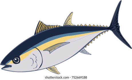 Bigeye Tuna Illustration