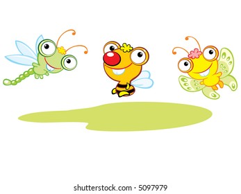 Big-eyed insects