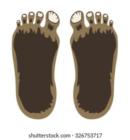 Bigfoot Feet