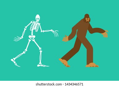 Bigfoot skeleton islated. sasquatch skull and bones. Abominable snowman. sasquatch Remains  