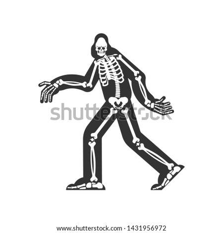 Bigfoot skeleton islated. sasquatch skull and bones. Abominable snowman. sasquatch Remains  