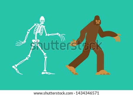 Bigfoot skeleton islated. sasquatch skull and bones. Abominable snowman. sasquatch Remains  