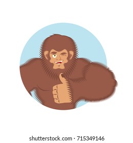 Bigfoot thumbs up. Yeti winks emoji. Abominable snowman cheerful. Vector illustration
